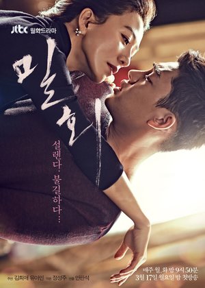 دانلود سریال کره ای راز عشق و عاشقی Secret Love Affair